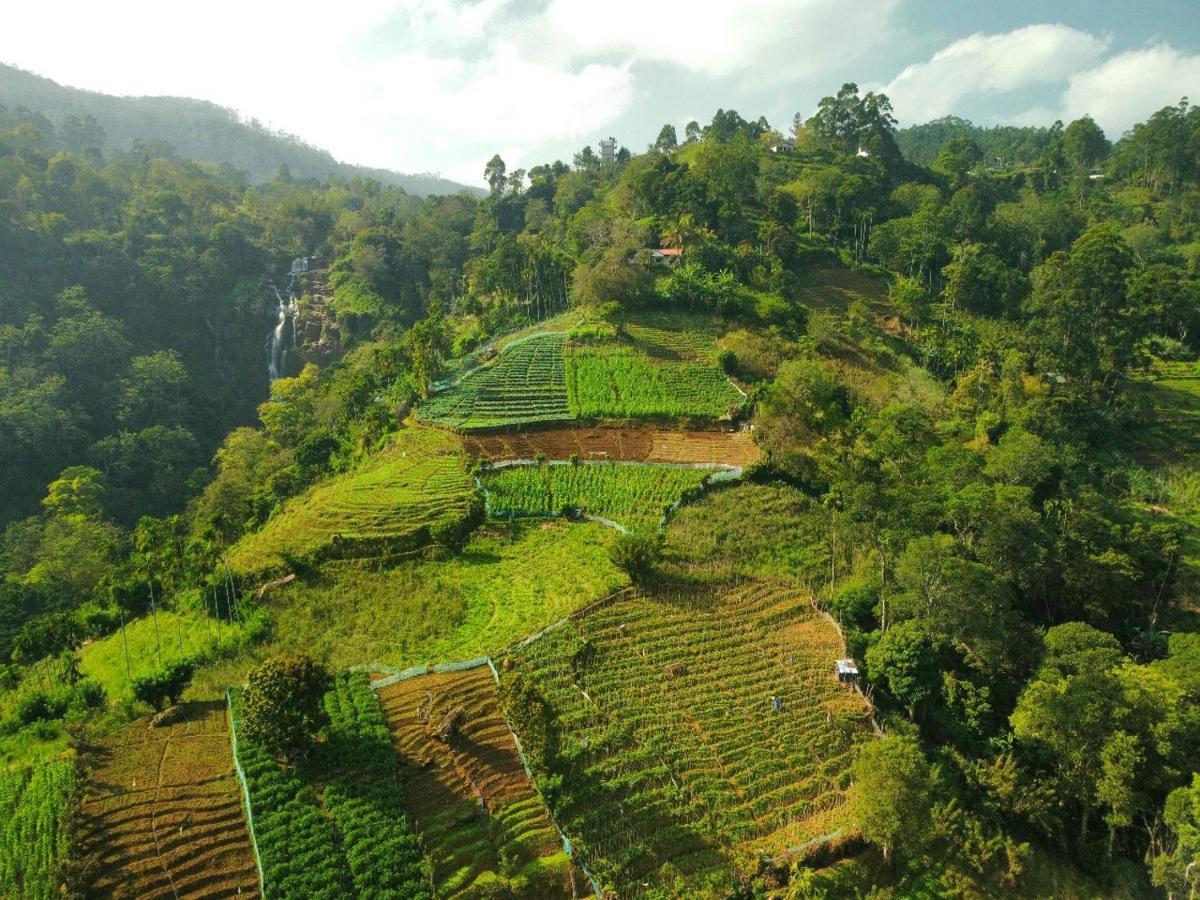 Ella Blue Heaven Cottage Ngoại thất bức ảnh